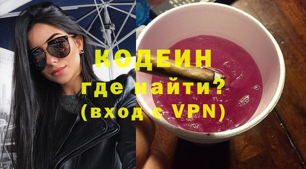 гашик Пестово