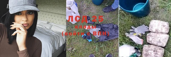 прущие грибы Абдулино
