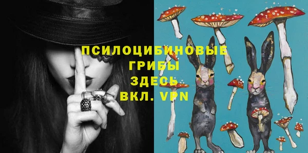 а пвп мука Абаза